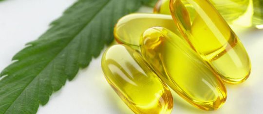 Se procurer de gélules de CBD