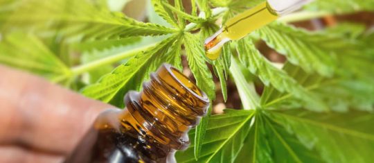 E-liquide au CBD