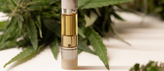 Professionnel du CBD