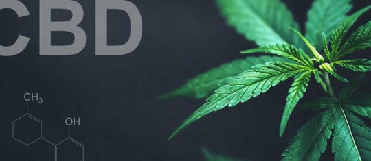 Cannabidiol CBD