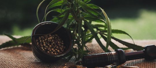 L’achat de CBD solide
