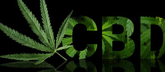 CBD