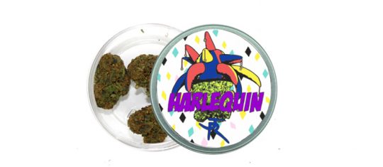 New Harlequin
